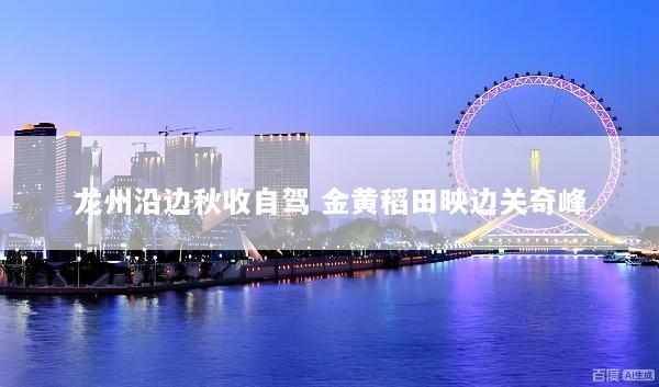 龙州沿边秋收自驾 金黄稻田映边关奇峰