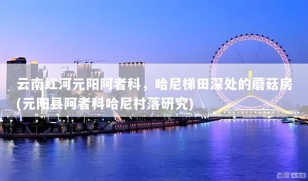 云南红河元阳阿者科，哈尼梯田深处的蘑菇房(元阳县阿者科哈尼村落研究)