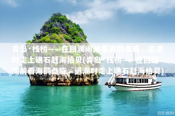 青岛·栈桥——在回澜阁前看海鸥盘旋，退潮时走上礁石赶海拾贝(青岛·栈桥——在回澜阁前看海鸥盘旋，退潮时走上礁石赶海拾贝)