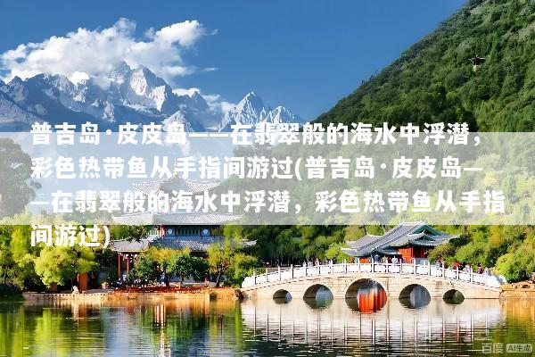 普吉岛·皮皮岛——在翡翠般的海水中浮潜，彩色热带鱼从手指间游过(普吉岛·皮皮岛——在翡翠般的海水中浮潜，彩色热带鱼从手指间游过)