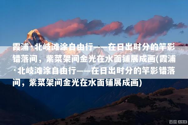 霞浦·北岐滩涂自由行——在日出时分的竿影错落间，紫菜架间金光在水面铺展成画(霞浦·北岐滩涂自由行——在日出时分的竿影错落间，紫菜架间金光在水面铺展成画)