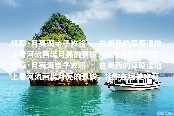 红原·月亮湾亲子攻略——在川西的草原湿地上看河流画出月亮的弧线，牦牛在远处吃草_红原·月亮湾亲子攻略——在川西的草原湿地上看河流画出月亮的弧线，牦牛在远处吃草