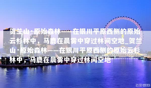 贺兰山·原始森林——在银川平原西侧的原始云杉林中，马鹿在晨雾中穿过林间空地_贺兰山·原始森林——在银川平原西侧的原始云杉林中，马鹿在晨雾中穿过林间空地