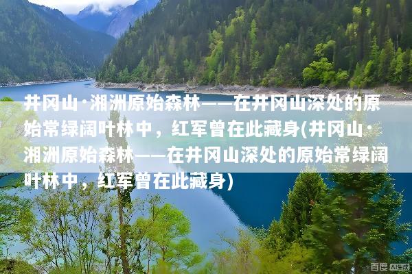 井冈山·湘洲原始森林——在井冈山深处的原始常绿阔叶林中，红军曾在此藏身(井冈山·湘洲原始森林——在井冈山深处的原始常绿阔叶林中，红军曾在此藏身)
