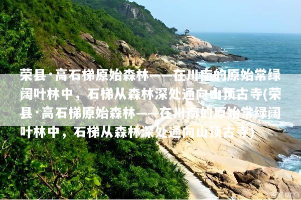 荣县·高石梯原始森林——在川南的原始常绿阔叶林中，石梯从森林深处通向山顶古寺(荣县·高石梯原始森林——在川南的原始常绿阔叶林中，石梯从森林深处通向山顶古寺)