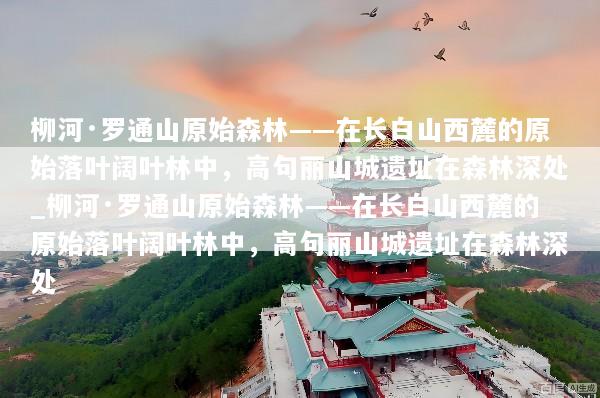柳河·罗通山原始森林——在长白山西麓的原始落叶阔叶林中，高句丽山城遗址在森林深处_柳河·罗通山原始森林——在长白山西麓的原始落叶阔叶林中，高句丽山城遗址在森林深处