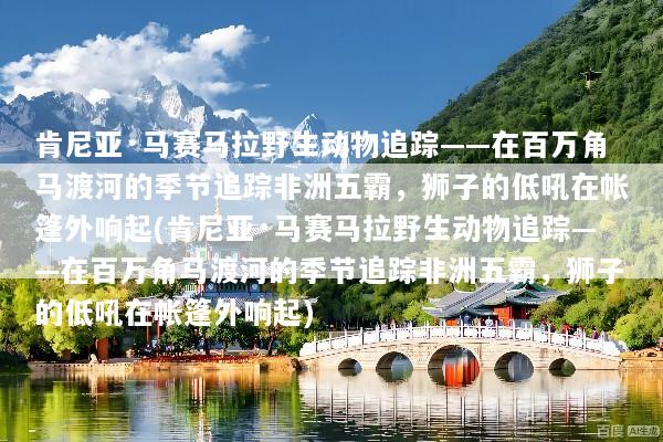 肯尼亚·马赛马拉野生动物追踪——在百万角马渡河的季节追踪非洲五霸，狮子的低吼在帐篷外响起(肯尼亚·马赛马拉野生动物追踪——在百万角马渡河的季节追踪非洲五霸，狮子的低吼在帐篷外响起)