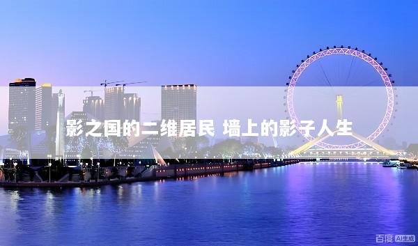 影之国的二维居民 墙上的影子人生