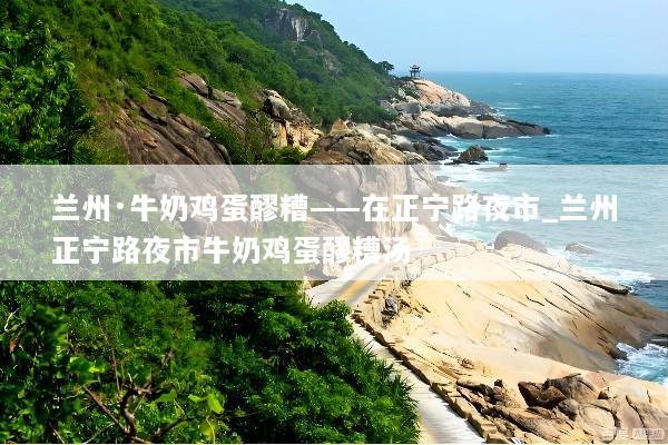 兰州·牛奶鸡蛋醪糟——在正宁路夜市_兰州正宁路夜市牛奶鸡蛋醪糟汤