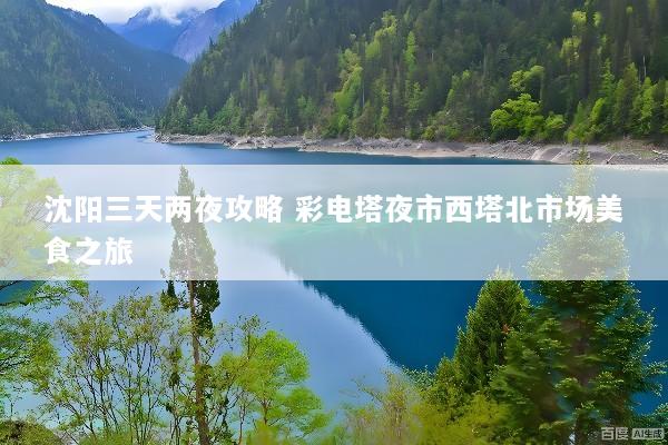 沈阳三天两夜攻略 彩电塔夜市西塔北市场美食之旅