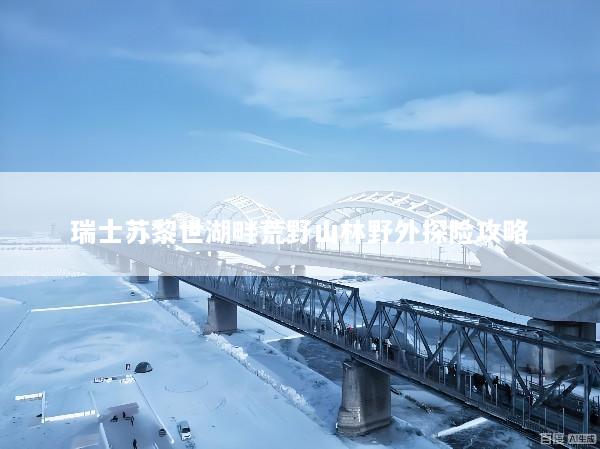 瑞士苏黎世湖畔荒野山林野外探险攻略