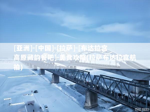[亚洲]-[中国]-[拉萨]-[布达拉宫高原藏韵餐吧]-美食攻略(拉萨布达拉宫航拍)